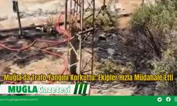 Muğla'da Trafo Yangını Korkuttu: Ekipler Hızla Müdahale Etti