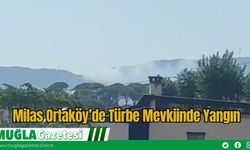 Milas Ortaköy’de Türbe Mevkiinde Yangın