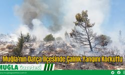 Muğla'nın Datça İlçesinde Çalılık Yangını Korkuttu