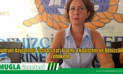 Bodrum Koylarında 'İstilacı Yat' Alarmı: Ekosistem ve Denizcilik Tehlikede