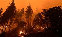 Meteoroloji Bölge Tahmin Merkezi’nden Muğla’ya 3 Günlük Orman Yangını Uyarısı