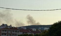 Menteşe’de Yangın Paniği