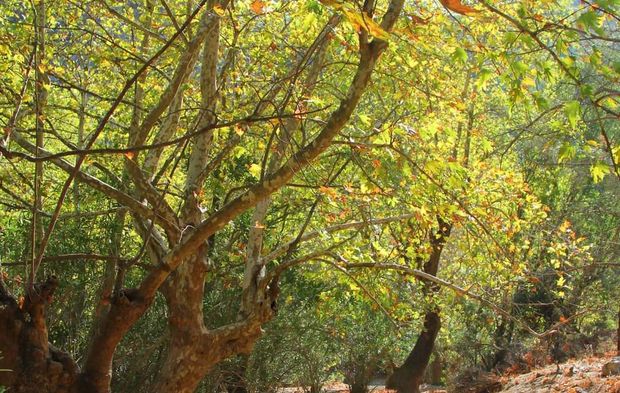 Muğla’nın Saklı Kalmış Cennetinden Bir Köşe: Uyku Vadisi