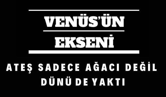 A T E Ş   S A D E C E   A Ğ A C I   D E Ğ İ L   D Ü N Ü  D E  Y A K T I