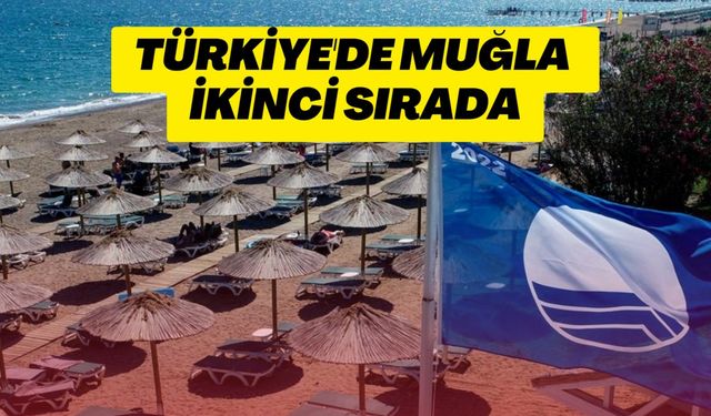 Türkiye'de Muğla ikinci sırada