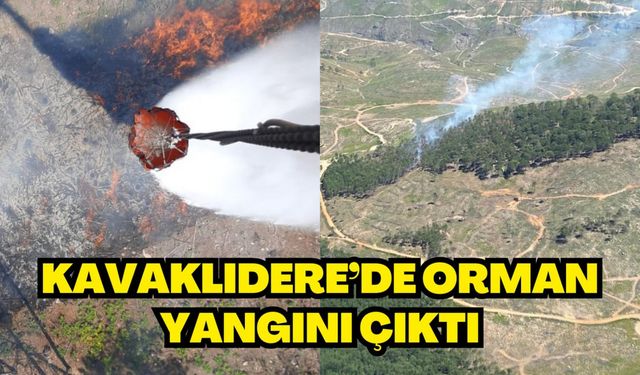 KAVAKLIDERE’DE ORMAN YANGINI ÇIKTI