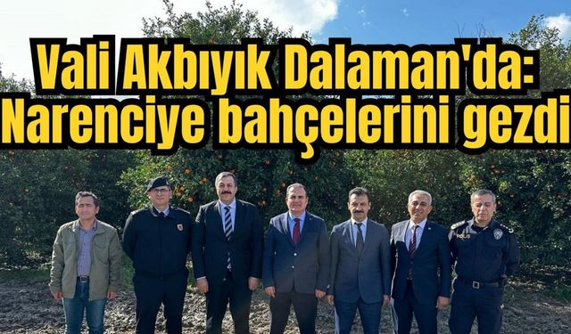 Vali Akbıyık Dalaman'da: Narenciye bahçelerini gezdi