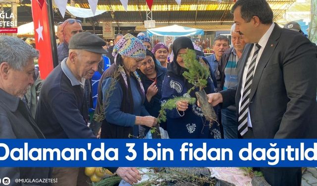 Dalaman'da 3 bin fidan dağıtıldı