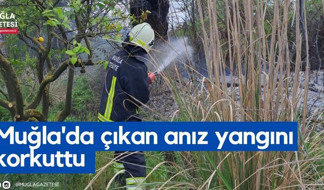 Muğla'da çıkan anız yangını korkuttu