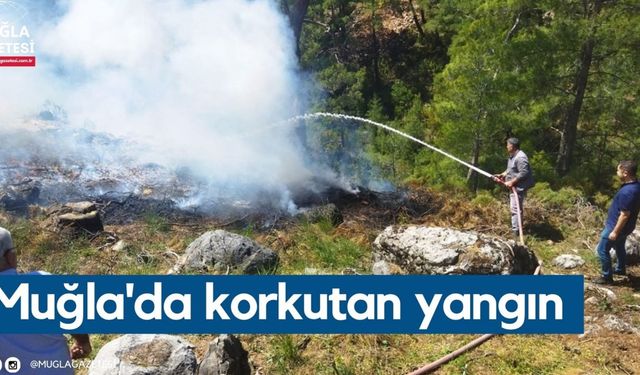 Muğla'da korkutan yangın