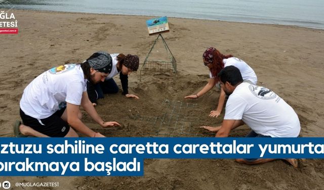 İztuzu sahiline caretta carettalar yumurta bırakmaya başladı