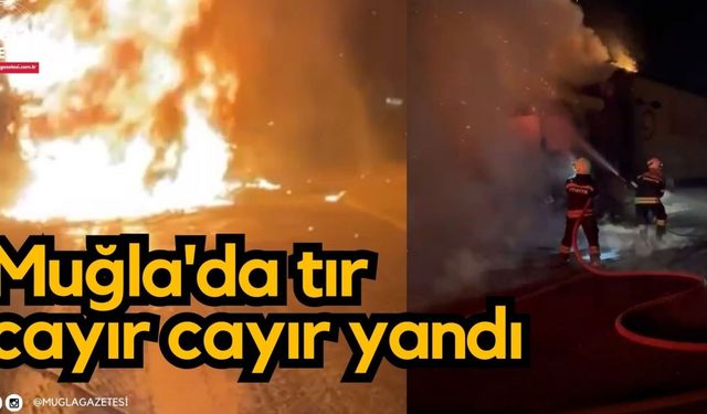 Muğla'da tır cayır cayır yandı