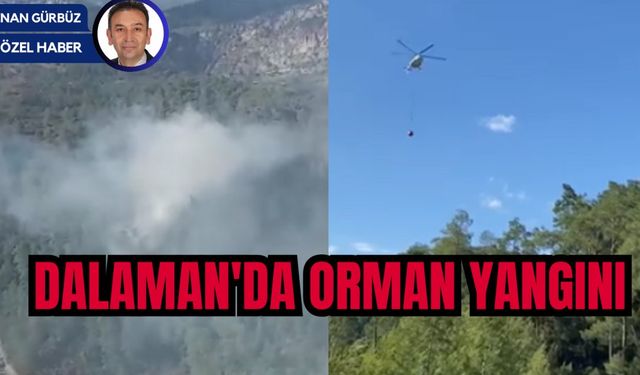 DALAMAN'DA ORMAN YANGINI