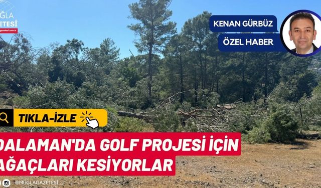 DALAMAN'DA GOLF PROJESİ İÇİN AĞAÇLARI KESİYORLAR