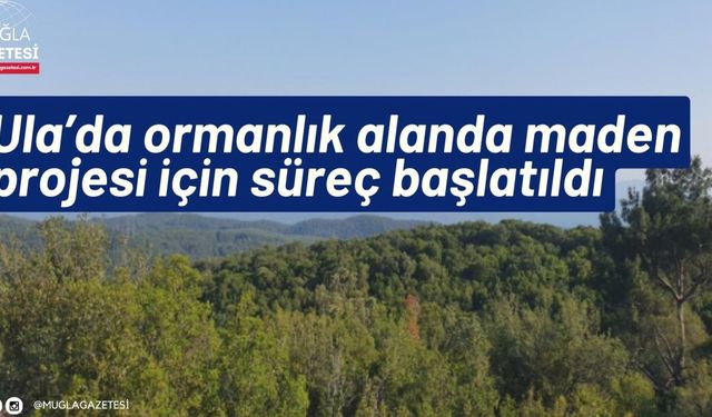 Ula’da ormanlık alanda maden projesi için süreç başlatıldı