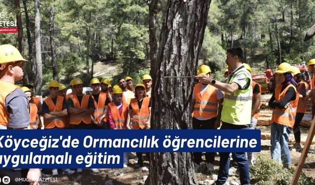 Köyceğiz'de Ormancılık öğrencilerine uygulamalı eğitim