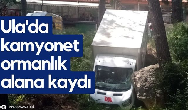 Ula'da kamyonet ormanlık alana kaydı