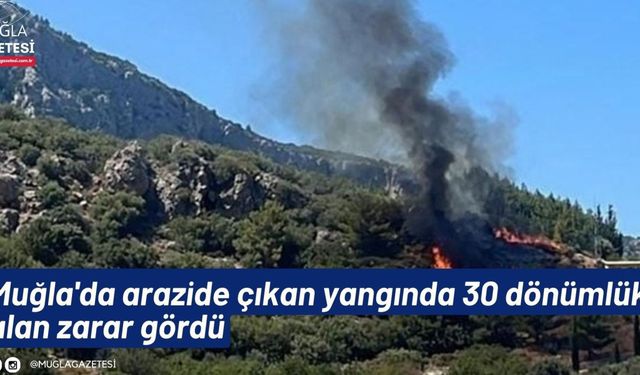 Muğla'da arazide çıkan yangında 30 dönümlük alan zarar gördü