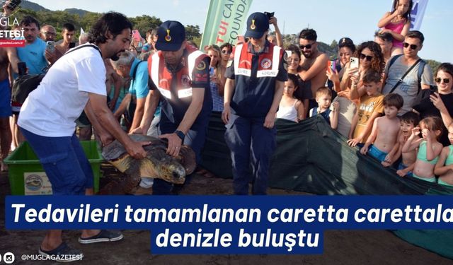 Tedavileri tamamlanan caretta carettalar denizle buluştu