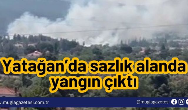 Yatağan’da sazlık alanda yangın çıktı