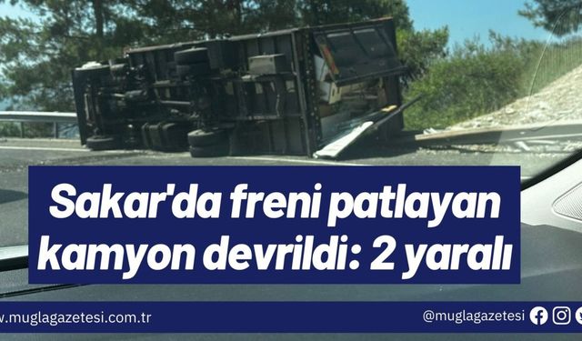 Sakar'da freni patlayan kamyon devrildi: 2 yaralı