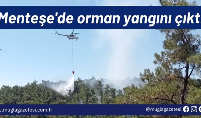 Menteşe'de orman yangını çıktı