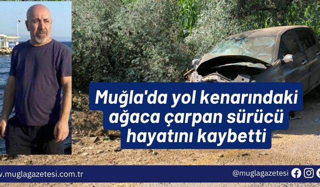 Muğla'da yol kenarındaki ağaca çarpan sürücü hayatını kaybetti