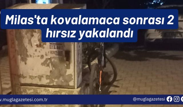 Milas'ta kovalamaca sonrası 2 hırsız yakalandı