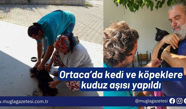 Ortaca’da kedi ve köpeklere kuduz aşısı yapıldı