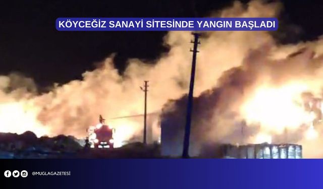 KÖYCEĞİZ SANAYİ SİTESİNDE YANGIN BAŞLADI