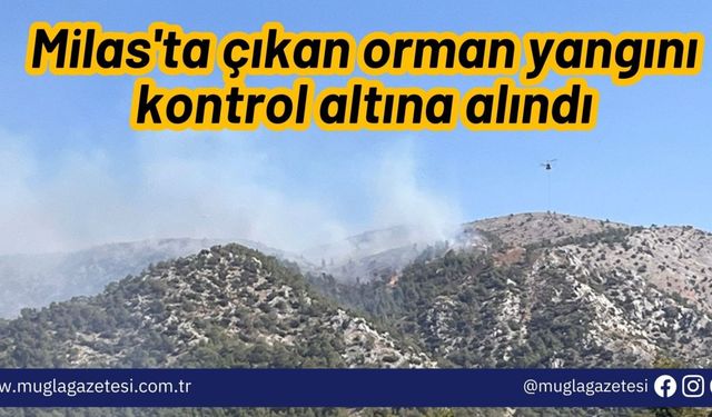 Milas'ta çıkan orman yangını kontrol altına alındı