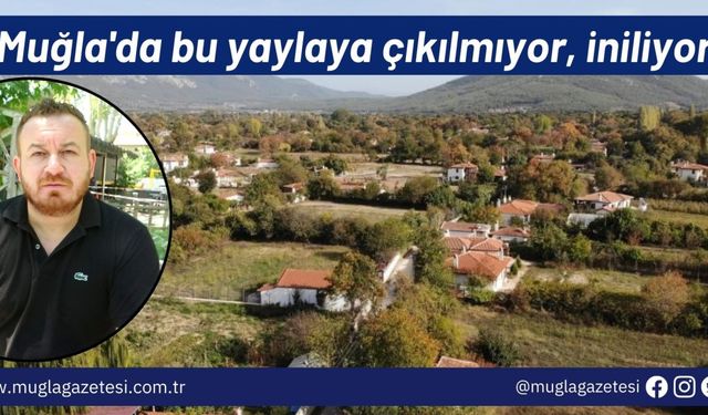 Muğla'da bu yaylaya çıkılmıyor, iniliyor