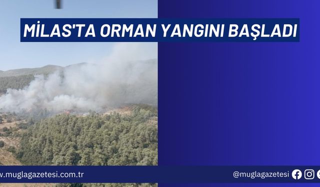 MİLAS'TA ORMAN YANGINI BAŞLADI