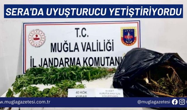 SERA'DA UYUŞTURUCU YETİŞTİRİYORDU