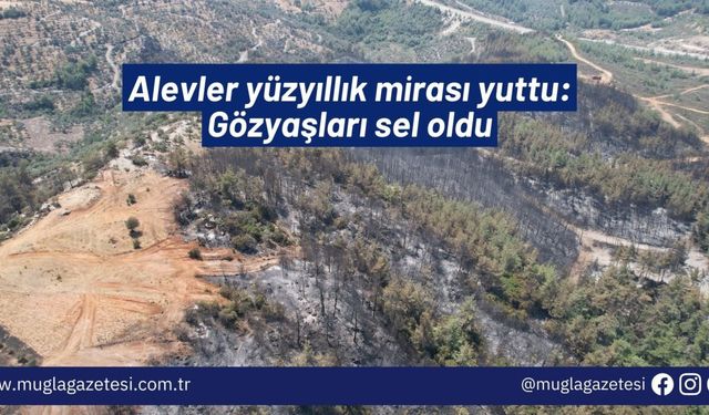 Alevler yüzyıllık mirası yuttu: Gözyaşları sel oldu