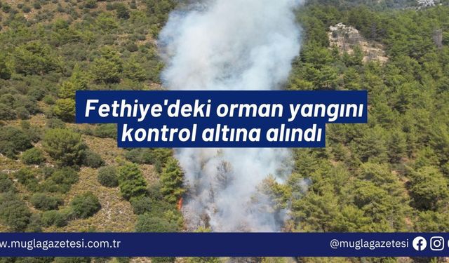 Fethiye'deki orman yangını kontrol altına alındı