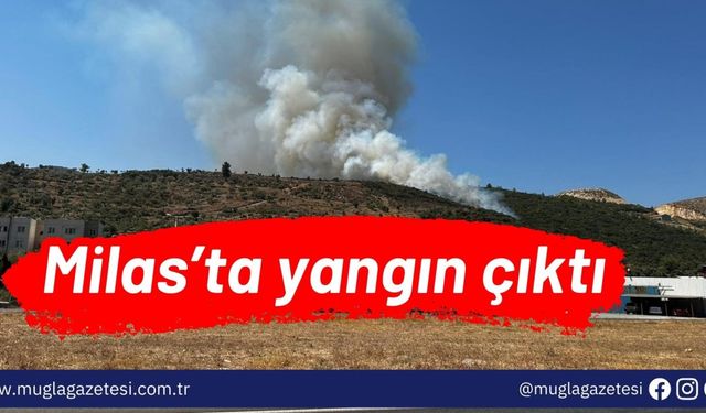 Milas’ta yangın çıktı