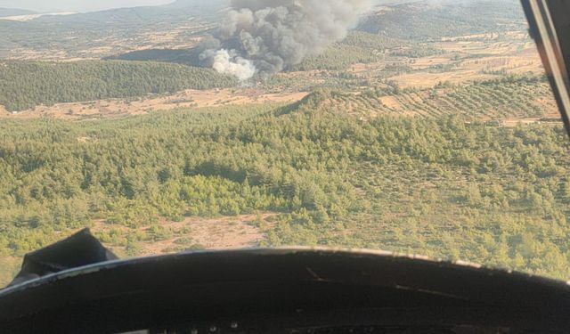 MİLAS'TA ORMAN YANGINI BAŞLADI