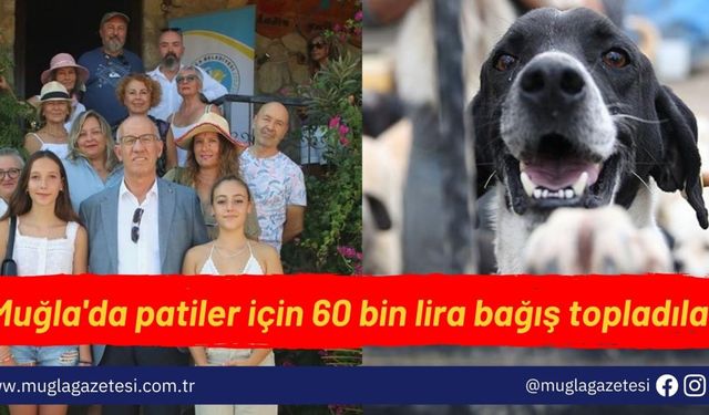 Muğla'da patiler için 60 bin lira bağış topladılar