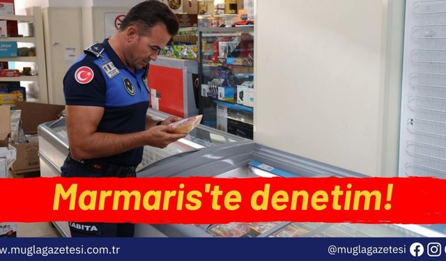 Marmaris'te denetim!