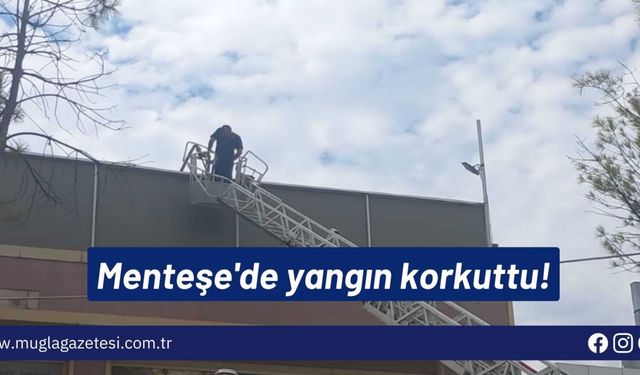 Menteşe'de yangın korkuttu!