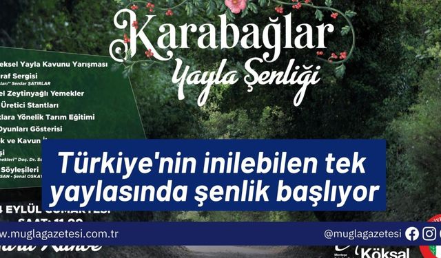 Türkiye'nin inilebilen tek yaylasında şenlik başlıyor