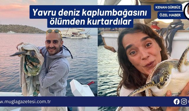 Yavru deniz kaplumbağasını ölümden kurtardılar