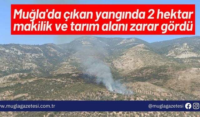 Muğla'da çıkan yangında 2 hektar makilik ve tarım alanı zarar gördü