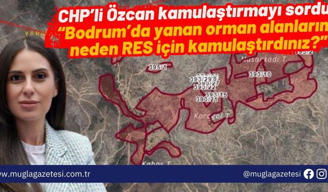 CHP’li Özcan kamulaştırmayı sordu: “Bodrum’da yanan alanları neden RES için kamulaştırdınız?”