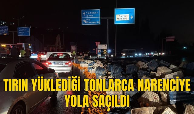 TIRIN YÜKLEDİĞİ TONLARCA NARENCİYE YOLA SAÇILDI