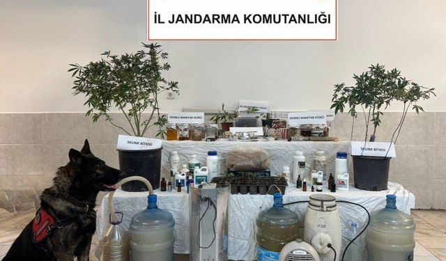 Ortaca'da Yasaklı Madde Operasyonu