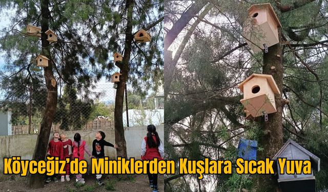 Köyceğiz’de Miniklerden Kuşlara Sıcak Yuva
