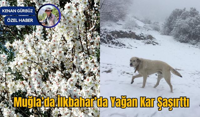Muğla’da İlkbahar’da Yağan Kar Şaşırttı
