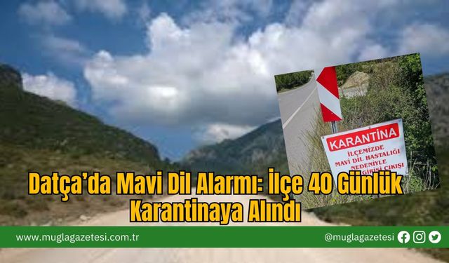 Datça’da Mavi Dil Alarmı: İlçe 40 Günlük Karantinaya Alındı